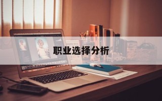 职业选择分析