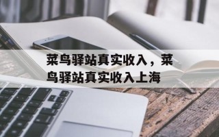 菜鸟驿站真实收入，菜鸟驿站真实收入上海