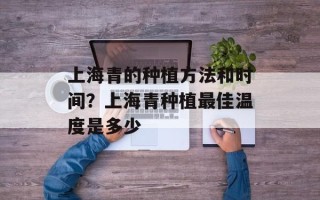 上海青的种植方法和时间？上海青种植最佳温度是多少