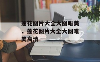莲花图片大全大图唯美，莲花图片大全大图唯美高清