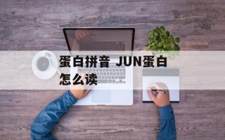 蛋白拼音 JUN蛋白怎么读