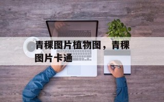 青稞图片植物图，青稞图片卡通