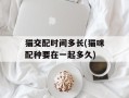 猫交配时间多长(猫咪配种要在一起多久)