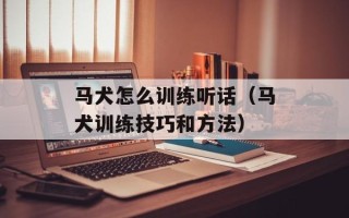 马犬怎么训练听话（马犬训练技巧和方法）
