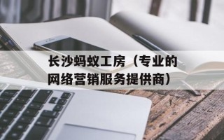 长沙蚂蚁工房（专业的网络营销服务提供商）