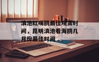 滇池红嘴鸥最佳观赏时间，昆明滇池看海鸥几月份最佳时间