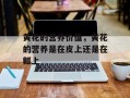 黄花的营养价值，黄花的营养是在皮上还是在瓤上