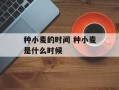 种小麦的时间 种小麦是什么时候
