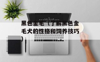 黑色金毛（了解黑色金毛犬的性格和饲养技巧）