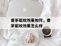 香茅驱蚊效果如何，香茅驱蚊效果怎么样