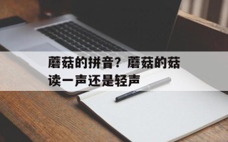蘑菇的拼音？蘑菇的菇读一声还是轻声