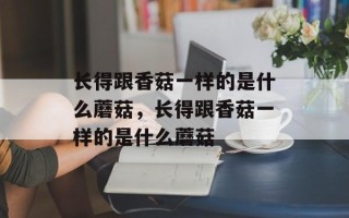 长得跟香菇一样的是什么蘑菇，长得跟香菇一样的是什么蘑菇