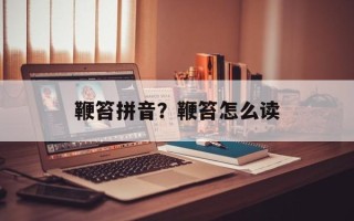 鞭笞拼音？鞭笞怎么读