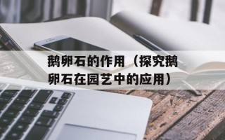 鹅卵石的作用（探究鹅卵石在园艺中的应用）