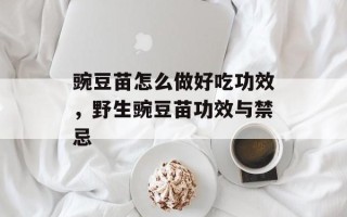 豌豆苗怎么做好吃功效，野生豌豆苗功效与禁忌
