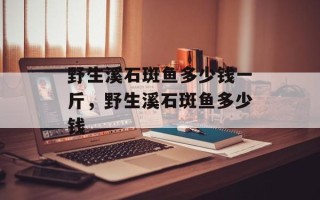 野生溪石斑鱼多少钱一斤，野生溪石斑鱼多少钱