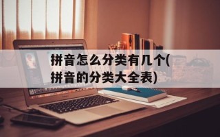 拼音怎么分类有几个(拼音的分类大全表)
