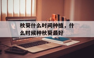 秋葵什么时间种植，什么时候种秋葵最好