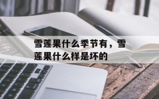 雪莲果什么季节有，雪莲果什么样是坏的