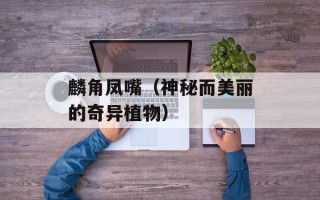 麟角凤嘴（神秘而美丽的奇异植物）