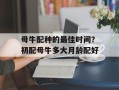 母牛配种的最佳时间？初配母牛多大月龄配好