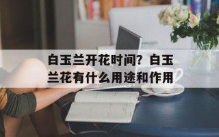 白玉兰开花时间？白玉兰花有什么用途和作用