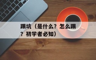 踢坑（是什么？怎么踢？初学者必知）