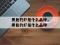 黑色的虾是什么品种，黑色的虾是什么品种