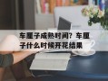 车厘子成熟时间？车厘子什么时候开花结果