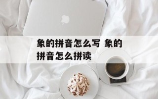 象的拼音怎么写 象的拼音怎么拼读