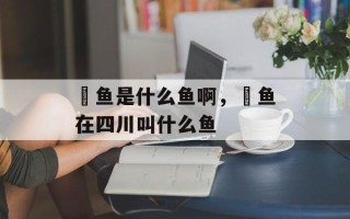 鳡鱼是什么鱼啊，鳡鱼在四川叫什么鱼