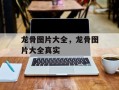龙骨图片大全，龙骨图片大全真实