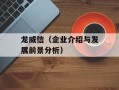 龙威信（企业介绍与发展前景分析）