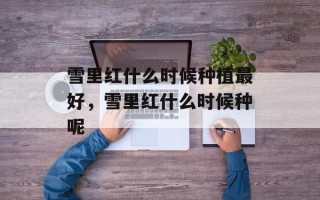 雪里红什么时候种植最好，雪里红什么时候种呢