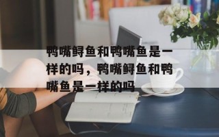 鸭嘴鲟鱼和鸭嘴鱼是一样的吗，鸭嘴鲟鱼和鸭嘴鱼是一样的吗