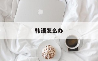 韩语怎么办