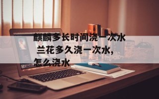 麒麟多长时间浇一次水 兰花多久浇一次水,怎么浇水