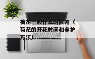 荷花一般什么时候开（荷花的开花时间和养护方法）