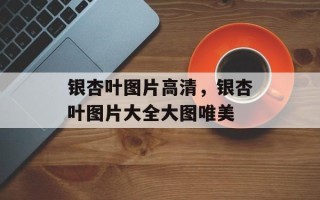 银杏叶图片高清，银杏叶图片大全大图唯美
