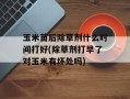 玉米苗后除草剂什么时间打好(除草剂打早了对玉米有坏处吗)