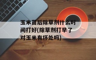 玉米苗后除草剂什么时间打好(除草剂打早了对玉米有坏处吗)