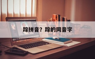 踪拼音？踪的同音字