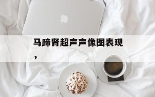 马蹄肾超声声像图表现，