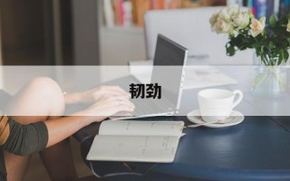 韧劲