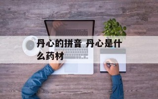 丹心的拼音 丹心是什么药材