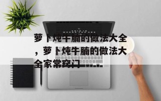 萝卜炖牛腩的做法大全，萝卜炖牛腩的做法大全家常窍门