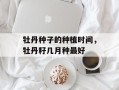 牡丹种子的种植时间，牡丹籽几月种最好