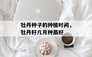 牡丹种子的种植时间，牡丹籽几月种最好