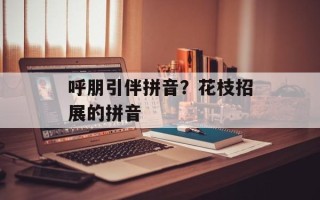 呼朋引伴拼音？花枝招展的拼音