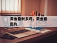 黄鱼鲞刺多吗，黄鱼鲞图片